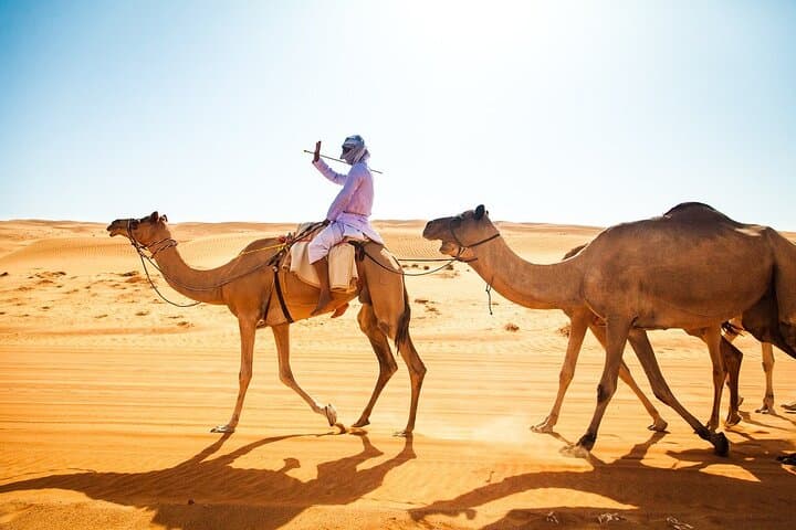 Muscat: Wahiba Sands, Wadi Bani Khalid & Mudayrib Tour - 2