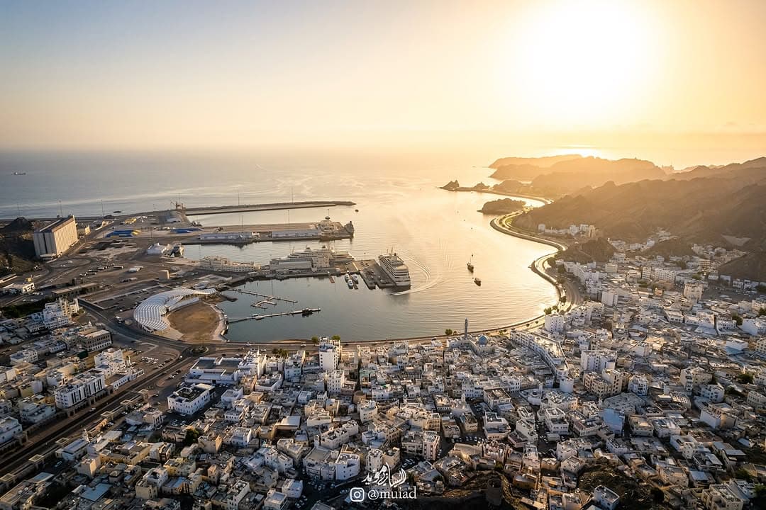 E2E Test - Dolphin Watching Tour - 2