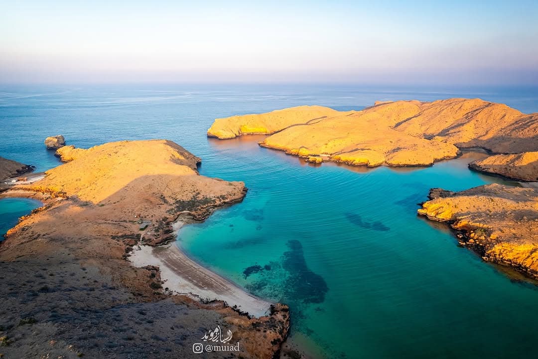 E2E Test - Dolphin Watching Tour