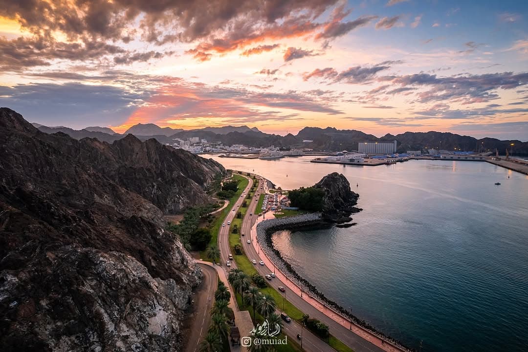 E2E Test - Dolphin Watching Tour - 3