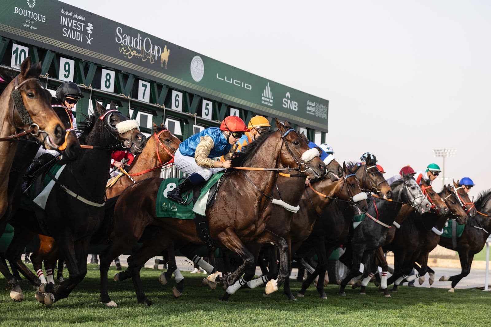 Omani Cup for horses - 2