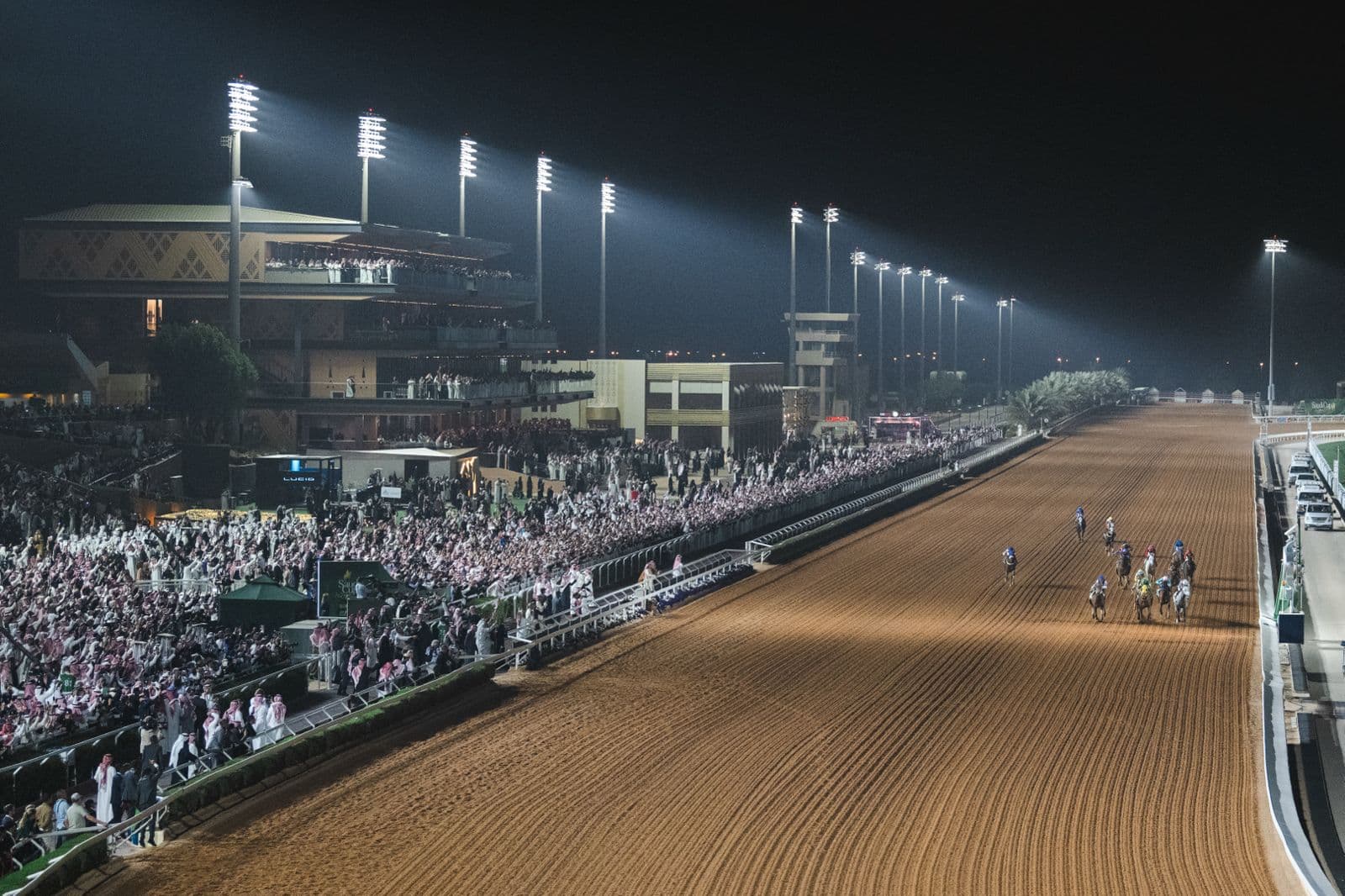 Omani Cup for horses - 4