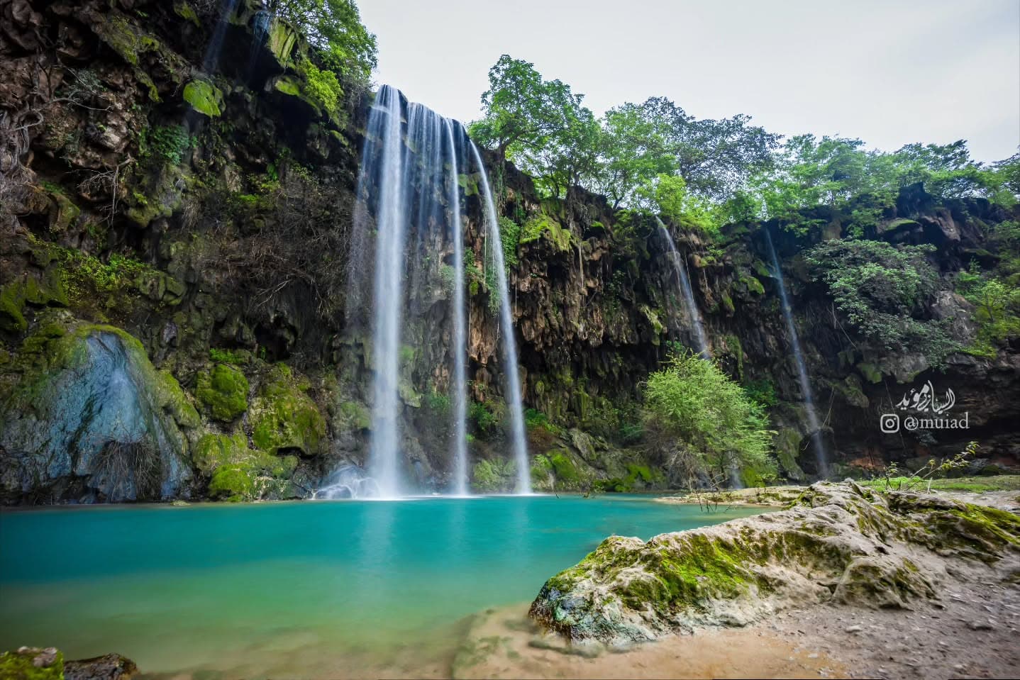 Desert Safari Adventure