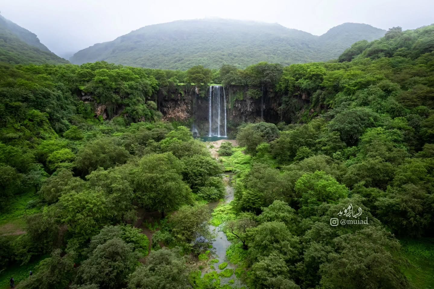 Desert Safari Adventure - 2