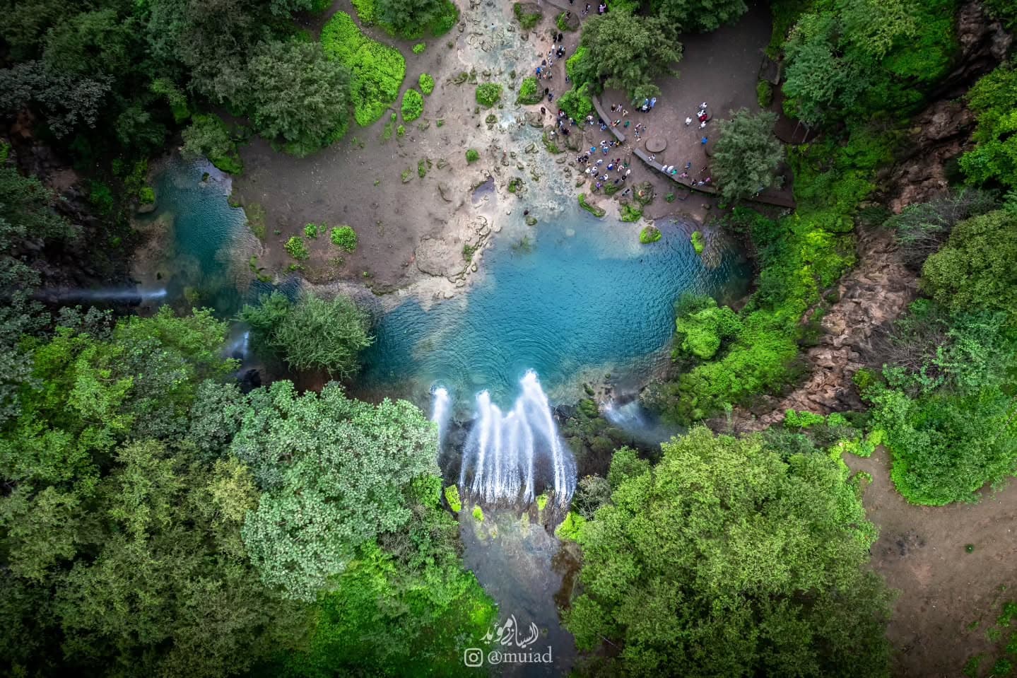 Desert Safari Adventure - 4